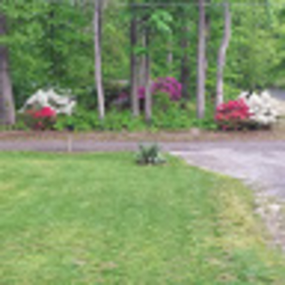 Meet your Posher, Lynetta